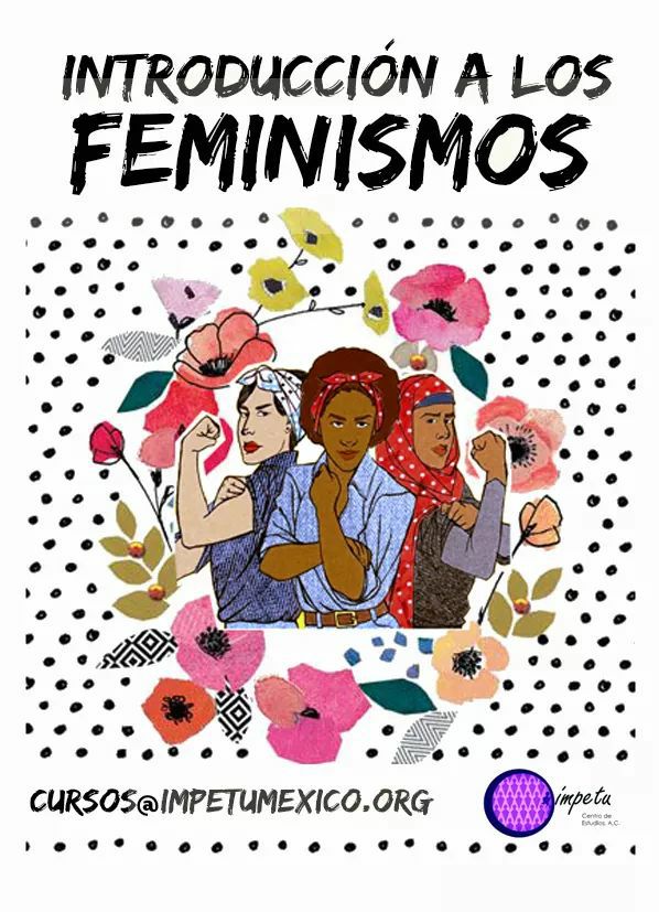 Introducción a los feminismos