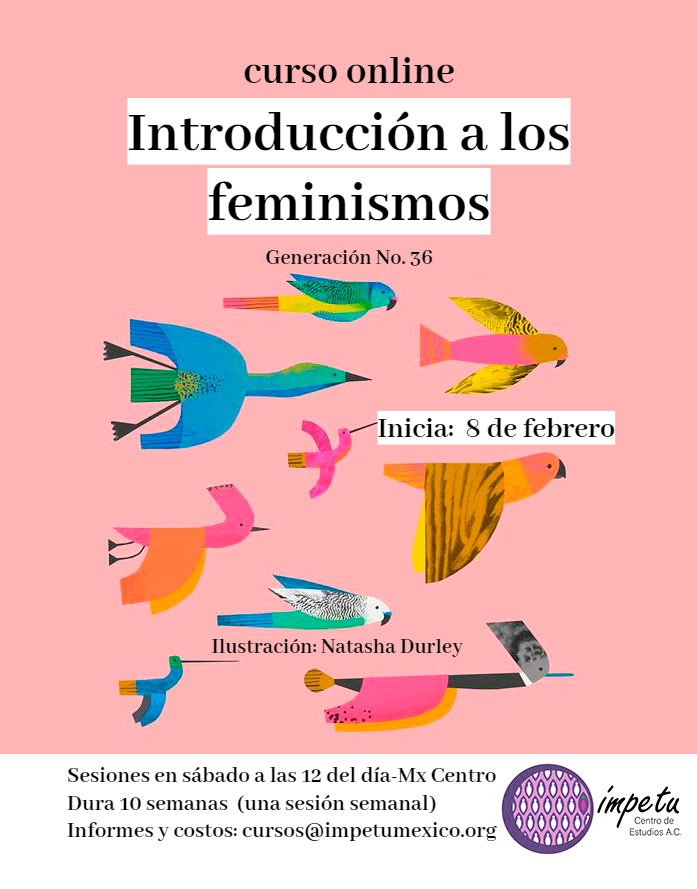 Introducción a los feminismos