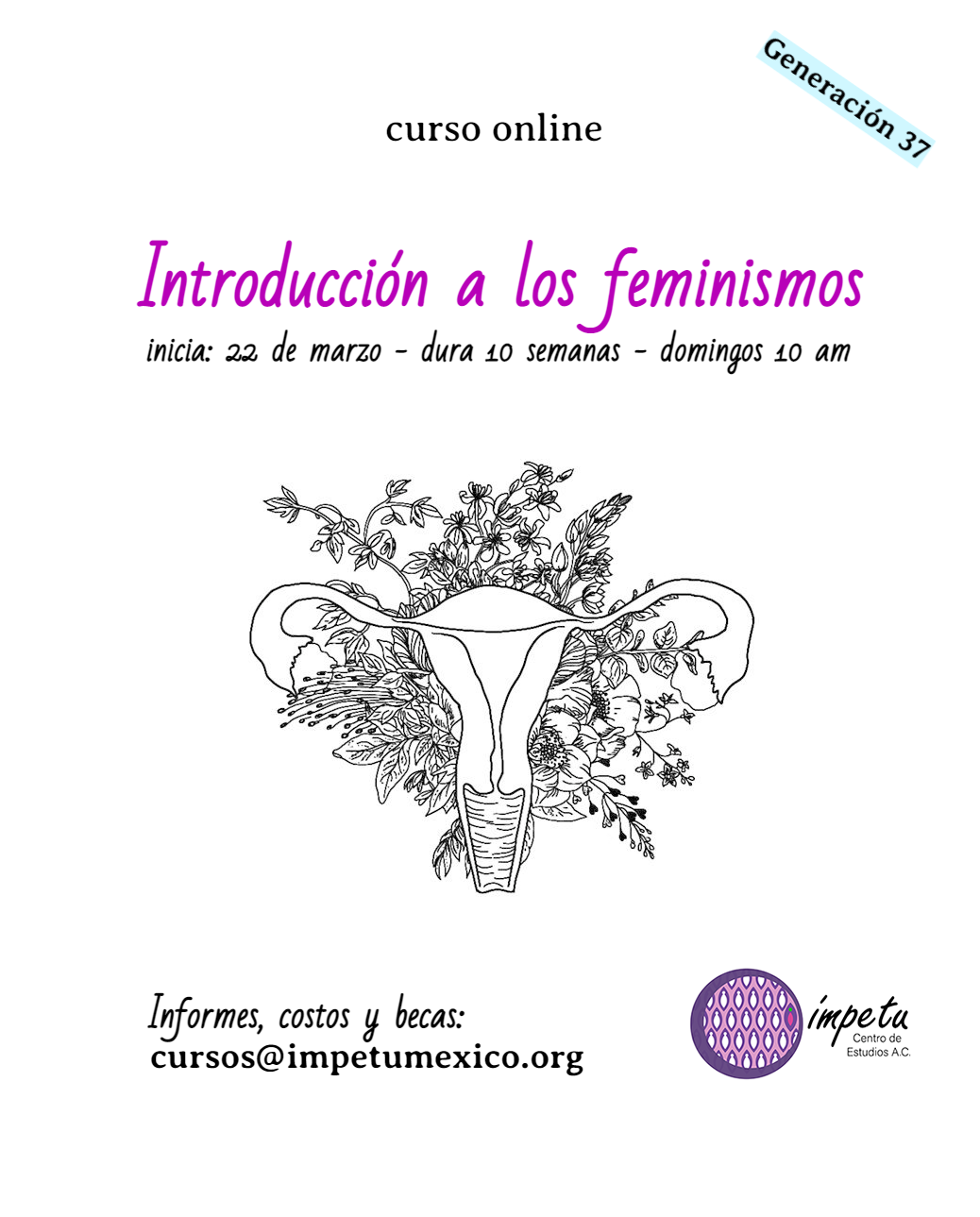 Curso online: Introducción a los feminismos