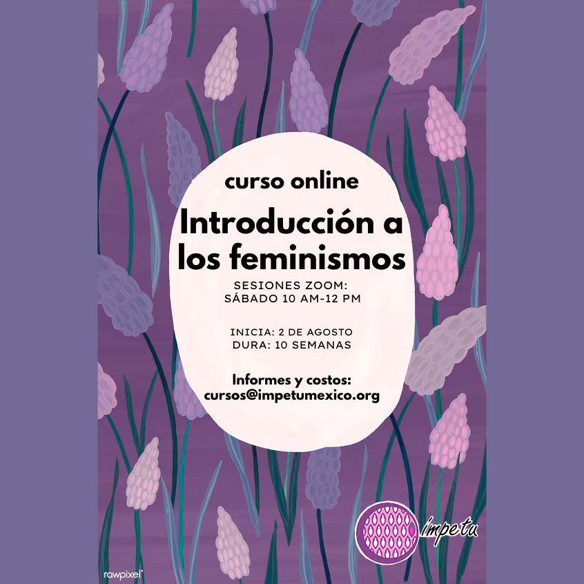 Introducción a los feminismos