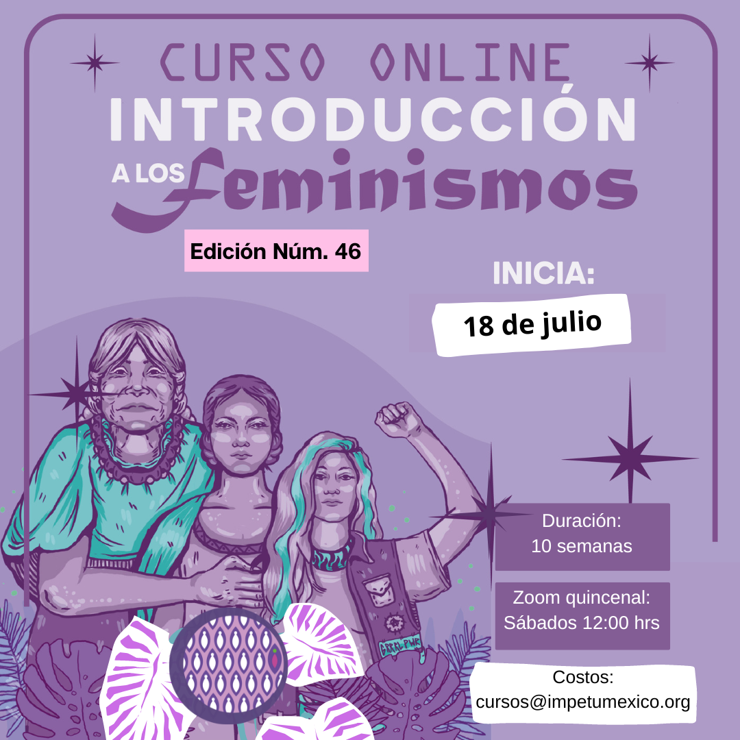 Introducción a los feminismos – edición 46