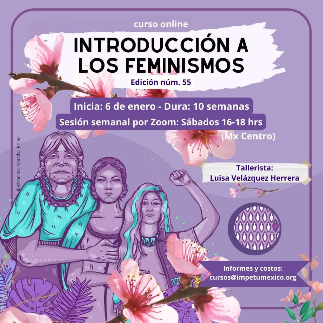 Introducción a los feminismos
