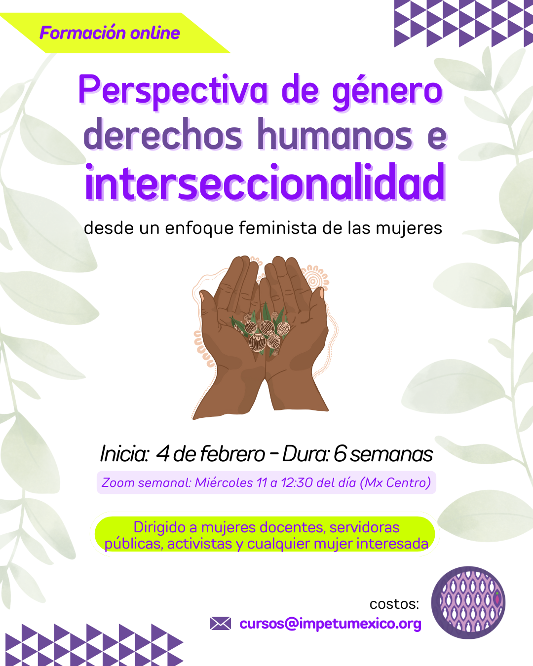  Perspectiva de Género, Derechos Humanos e Interseccionalidad, desde un enfoque feminista de las mujeres